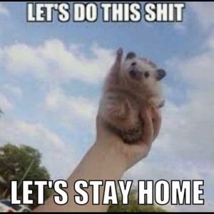 Meet your Posher, Jesse